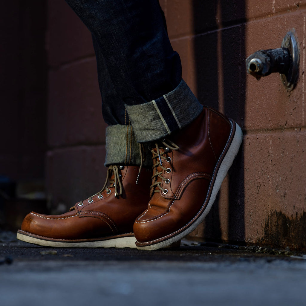 Coyote – Pisgah Range LTD